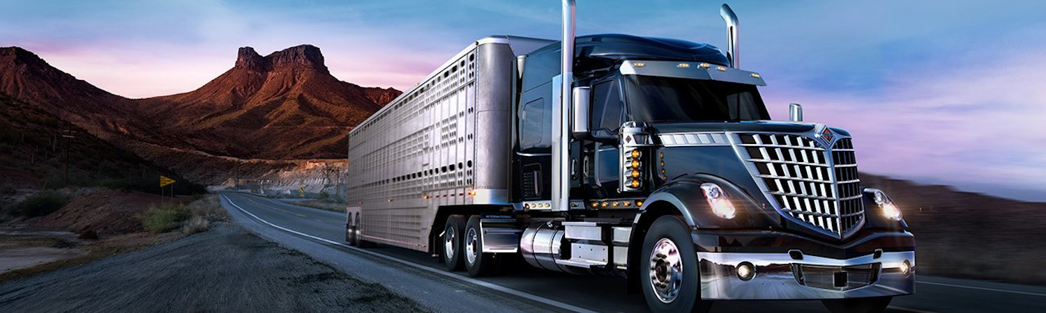 2019 International Lonestar for sale in Southwest International® Trucks, Dallas, Texas